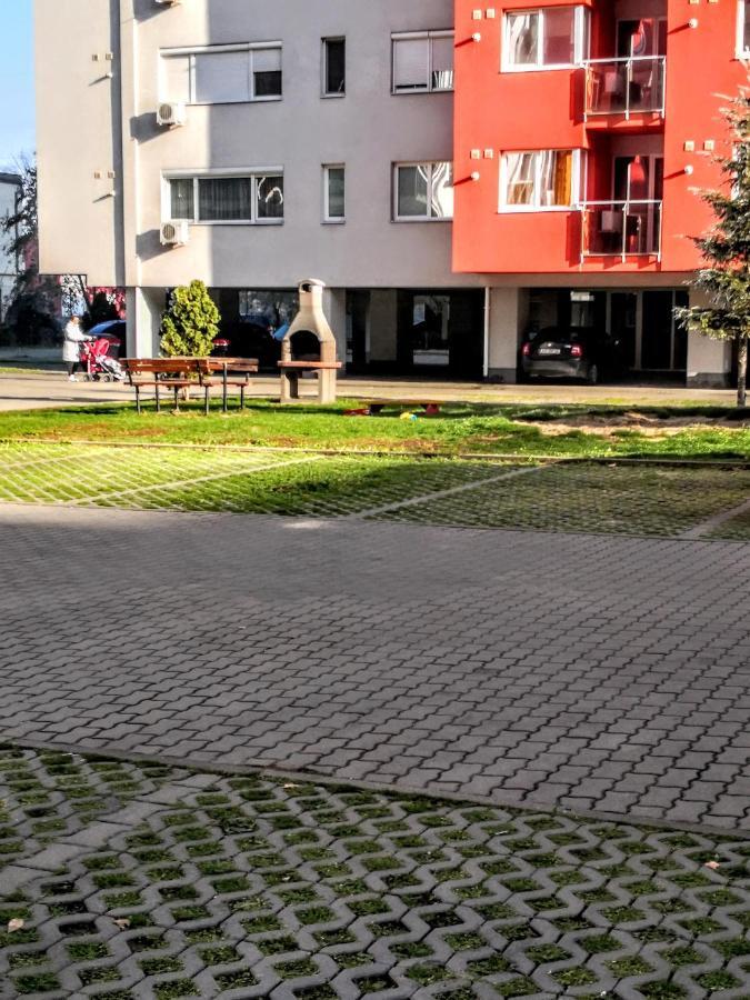 Relaxing & Welcome Apartment, Ared, Uta Arad Exterior photo